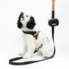 KINIKINI Signature Harness + Leash Set