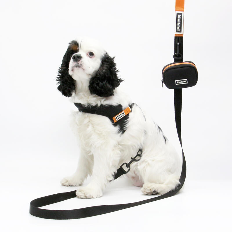 KINIKINI Signature Harness + Leash Set