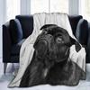 Pug Blanket Cute Pet Puppy Dog Fleece Throw Blanket Soft Lightweight Cozy Plush Flannel Blanket for Sofa Couch Bed Living Room