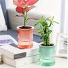 Self Watering Flowerpot Automatic Water Absorbing Flowerpot Double Layer Transparent Plastic Succulent Plant Pot Decorative Pot