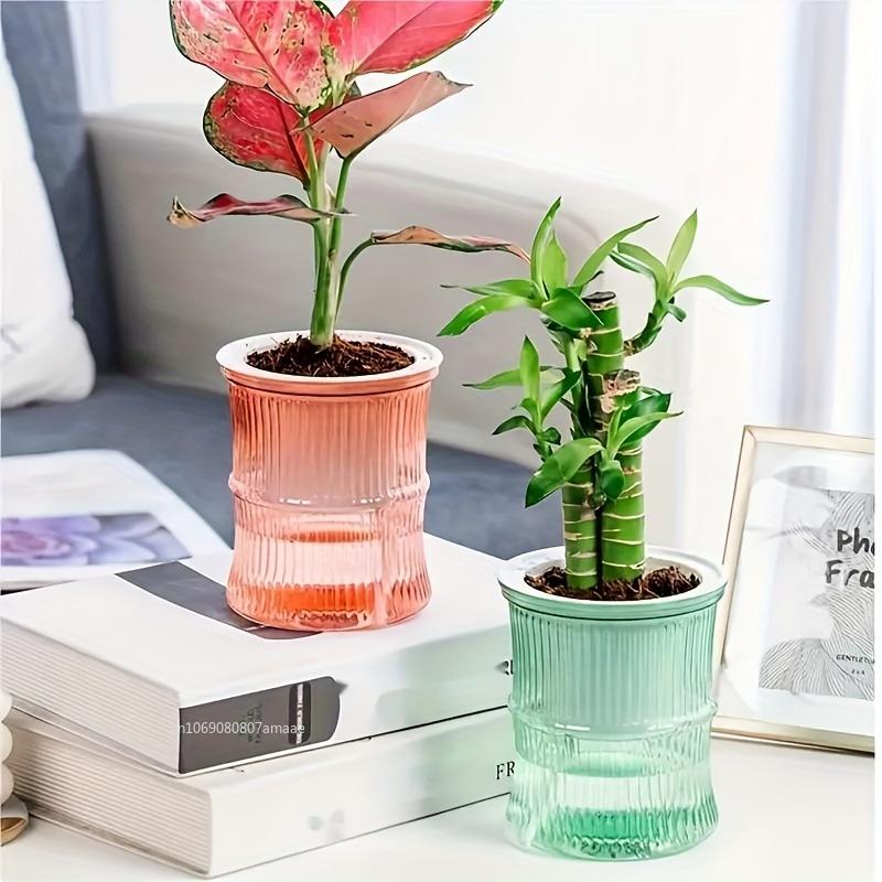 Self Watering Flowerpot Automatic Water Absorbing Flowerpot Double Layer Transparent Plastic Succulent Plant Pot Decorative Pot