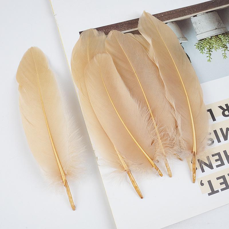 50Pcs Shellfish Feather Goose Feather Diy Handmade Jewelry Accessories Handicrafts Cat Toys Decorative Feathers