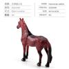 Simulation Animal Horse Model Series Mini Sharma Morgan Horse Hanover Horse Mini 12-Piece Animal Set