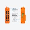 868MHz FSK 12-Channel Wireless Controller with 220V AC 10A Relay Contactor