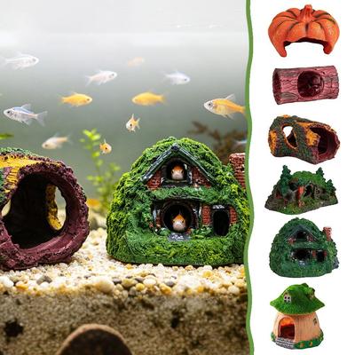 Poissons et animaux marins – Décoration d’aquarium