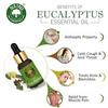 Old Tree Eucalyptus Essential Oil 15ml