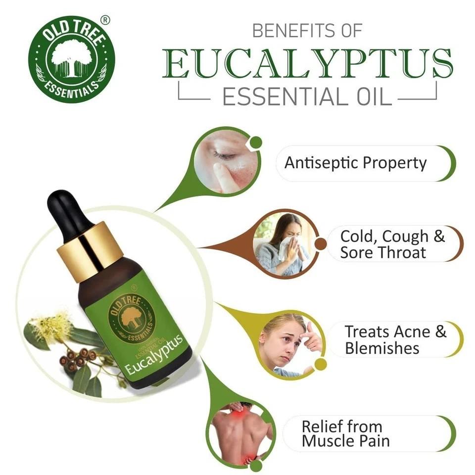 Old Tree Eucalyptus Essential Oil 15ml