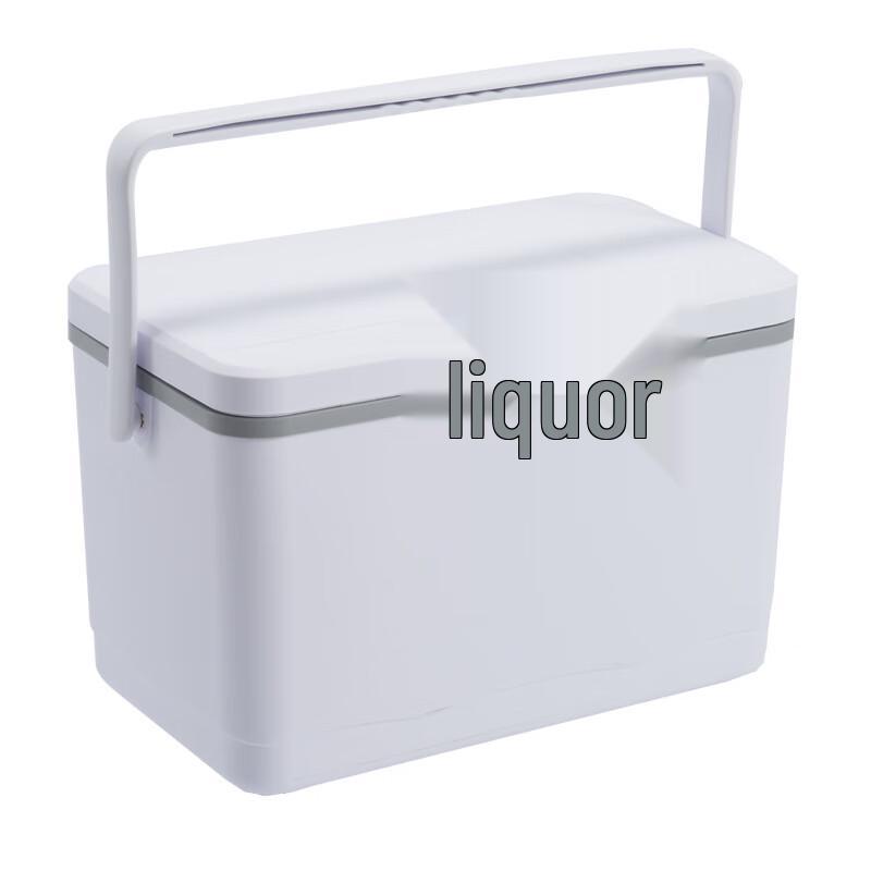 Portable Outdoor Cooler Box 8L