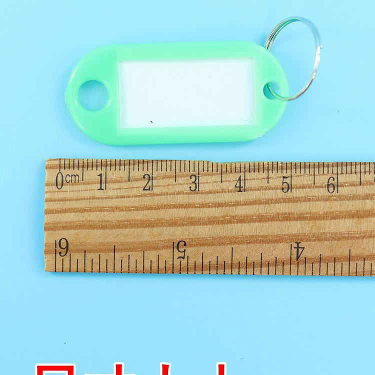 Colored Numbered Keyring and Luggage Tag