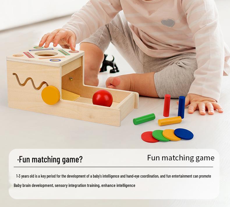 Montessori Color & Shape Recognition Building Blocks for Toddlers