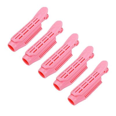 5-piece Set of Hair Volume Clips