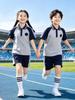 Liaoning Shenyang Primary School Summer Uniform Set for Students - Multi-piece, All-Season Wear