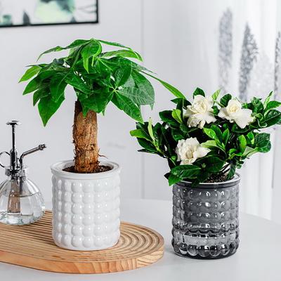 Mini Pot de fleur à arrosage automatique, Pots de plantes en plastique, Pot de jardinière à arrosage automatique