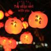 Spring Festival Double Happiness Red Lantern LED String Lights - Festive New Year Decoration