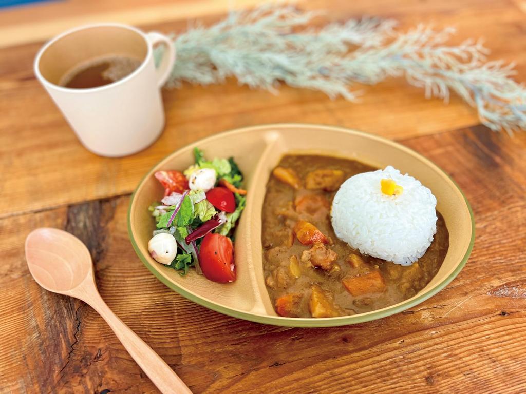 Kano Earth Tone Antibacterial Oval Lunch Plate 24.5 X 17.5 Cm Wood Grain 4-Piece Set 17022