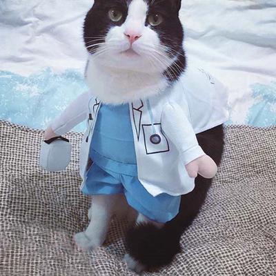 Haustier Halloween Kostüm Lustiges Hunde Katzen Arzt Kostüm Haustier Arzt Kleidung Lustige Cosplay Kleidung Kleid Bekleidung Outfit Uniform