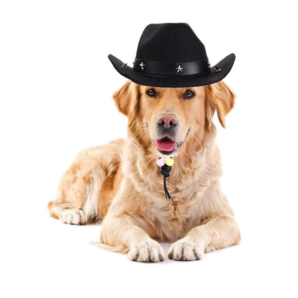 Decoration Birthday Party Cowboy Hat Cat Hat Dog Hat Dog Costume Pet Supplies Cat Cowboy Hat