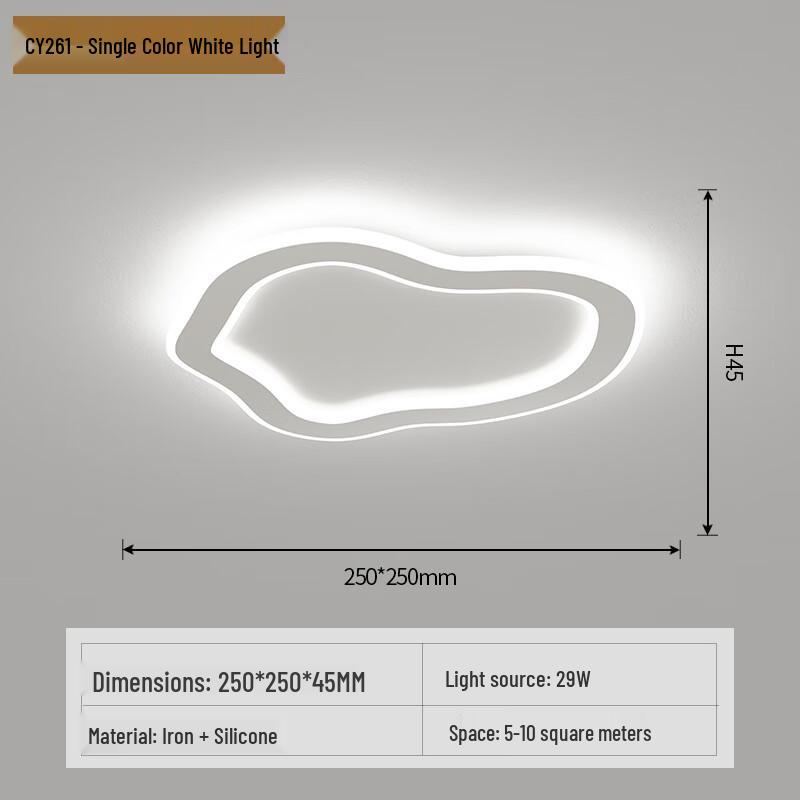 Modern Minimalist LED Ceiling Light