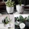 Self-Watering Plant Pots Self-Watering Pots,Double Layer Planter with Reservoir, Clear Flowerpot Decorative Pot for African