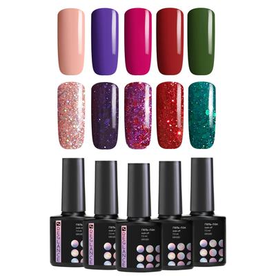 Jel Lehçe Set Kiti 10 renk 7.5ml UV LED cam şişe Kapalı Islatın