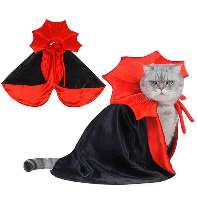 Pet Halloween Costumes Get Your Furry Friend Ready For The Spooky Season With This Vampire Cloak!