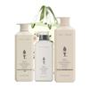 shampoo, conditioner & shower gel family set