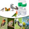 Birds Feeding Watering Bird High-quality Plastic Feeder Food Water Feeding Automatic Drinker Parrot Pet Dispenser Bird Food Box