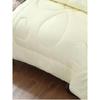 Southern Life Antibacterial Warm Brushed Fiber Quilt