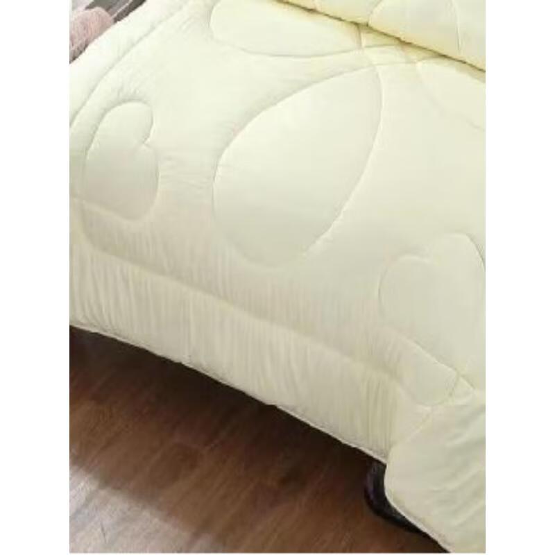 Southern Life Antibacterial Warm Brushed Fiber Quilt