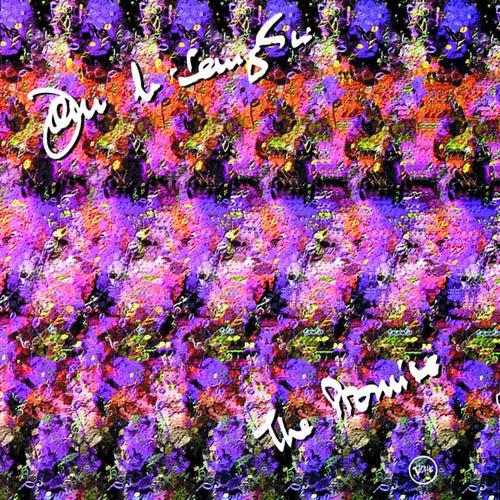 CD JOHN MCLAUGHLIN - Promise 3145298282 Verve Records 1995 US Jazz Used