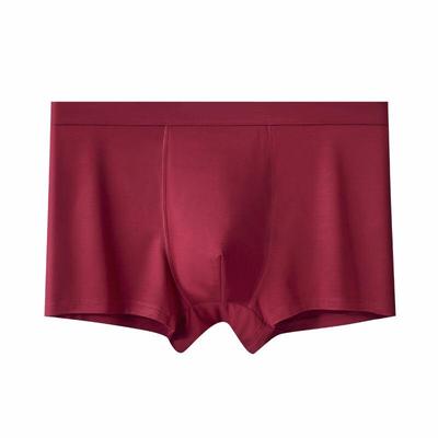 Caizhiyan Men's Modal Boxer Briefs