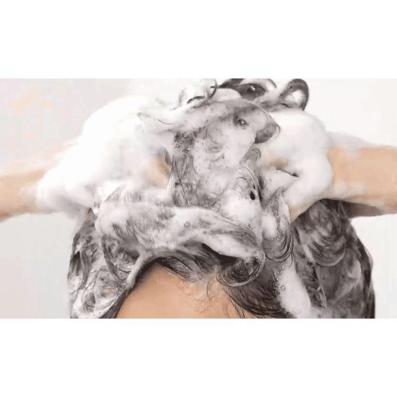 ViveLab Revi Solution Anti Hair Loss Scalp Shampoo