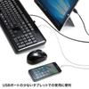 Sanwa Supply Keyboard with USB Thin Numeric USB 2 Black Hub, Membrane, Keypad, Ports, SKB-SL21UHBK