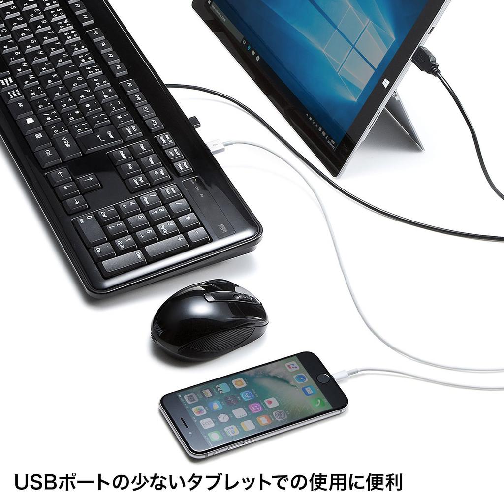 Sanwa Supply Keyboard with USB Thin Numeric USB 2 Black Hub, Membrane, Keypad, Ports, SKB-SL21UHBK