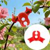 Plant Clamp Bending Device Growth Flower Clip Garden Accessories Accessory Products Gardening House Support Supplies Grapes Care