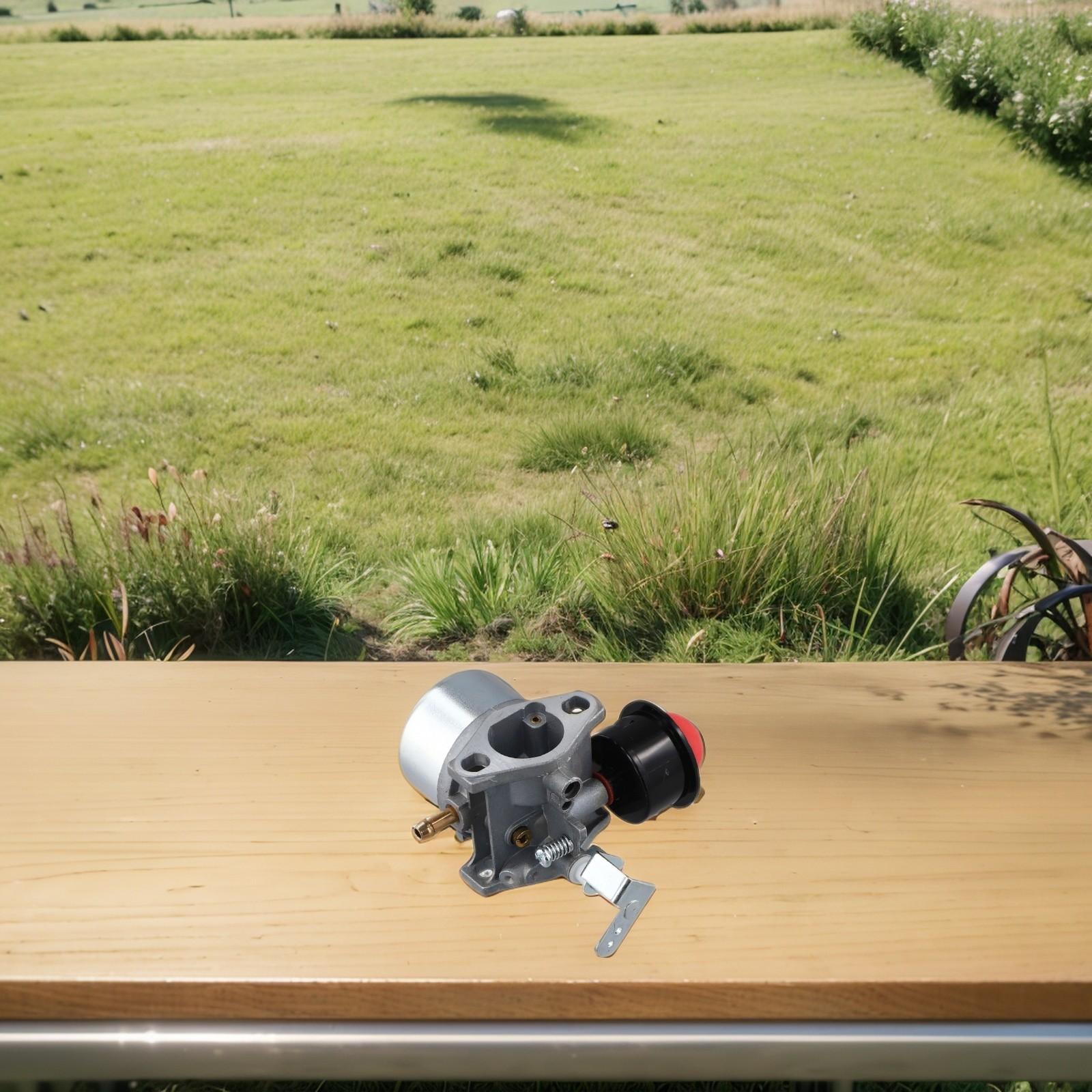 

Газонокосилка карбюраторная PF двигатель части топливно-воздушная смесь