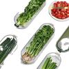 Scallion & Vegetable Refrigerator Storage Box