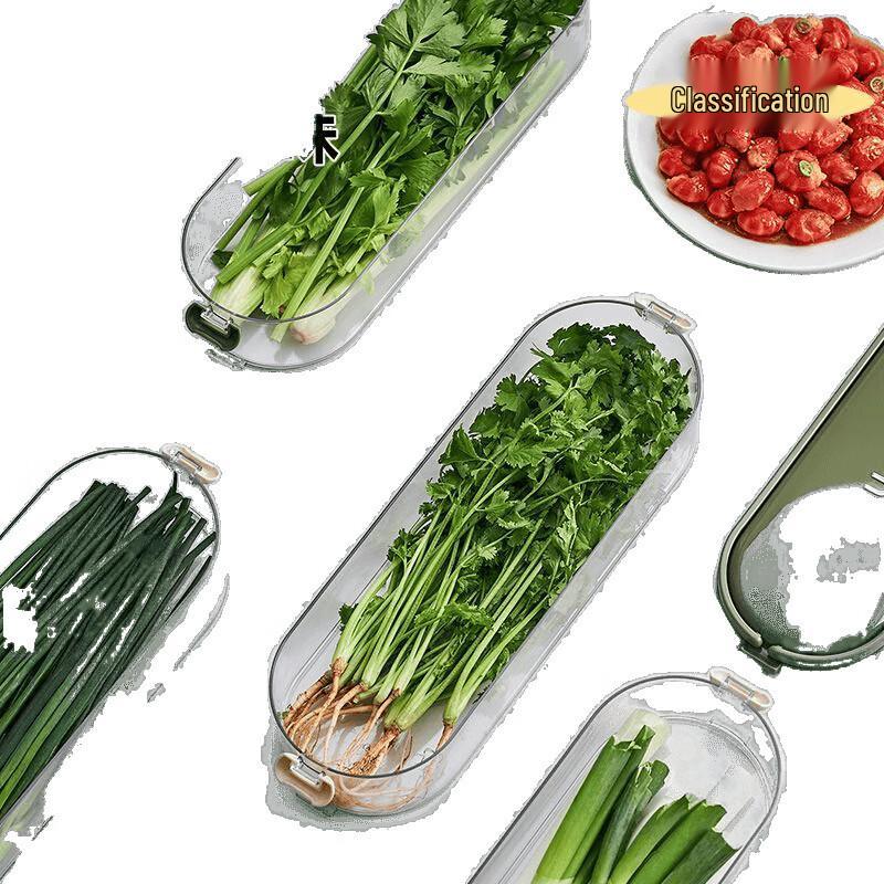 Scallion & Vegetable Refrigerator Storage Box