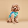 Dog Summer T-Shirts Vest,Pet Breathable Soft Basic Clothes for Small Medium Boy Girl Dogs Apparel Spring Summer for Daily Wear