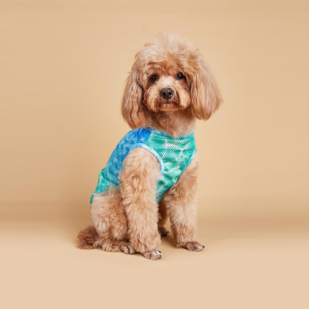 Dog Summer T-Shirts Vest,Pet Breathable Soft Basic Clothes for Small Medium Boy Girl Dogs Apparel Spring Summer for Daily Wear