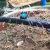 Irigare și udare – Aspersoare de grădină