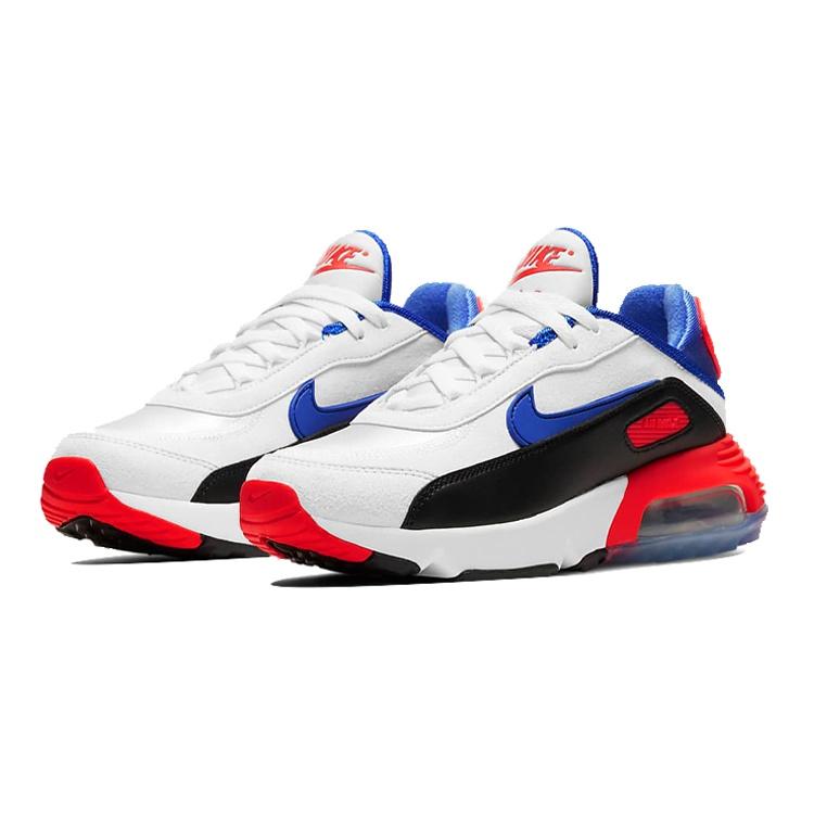 (GS) Nike Air Max 2090 'Evolution of Icons' Kids' CW1650-100