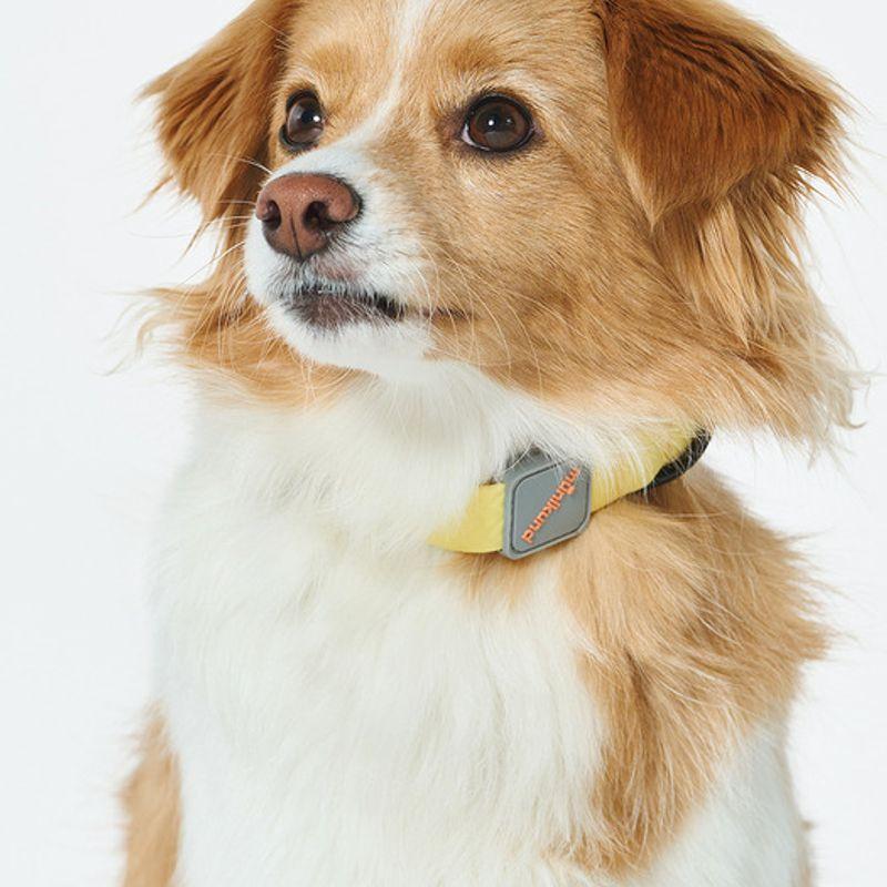 MUNIKUND Water-Block Collar Yellow