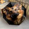 1pc Cute dog pattern Umbrella Portable Folding Umbrella Iron Frame Hole Bone Structure Outdoor Home Umbrella