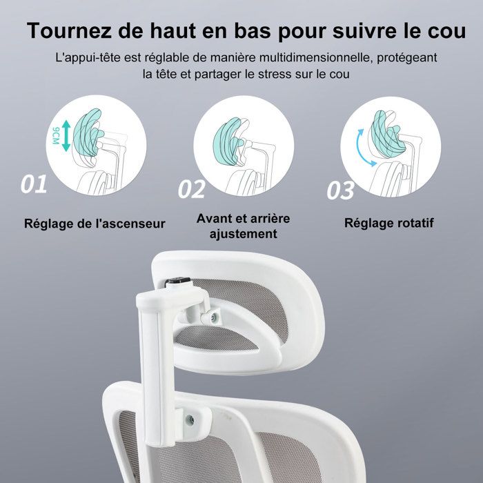 Sevencomfort-Chaise De Bureau Ergonomique Avec Siège Réglable-chaise De Bureau Respirante Avec Support Lombaire-charge 200KG-gris