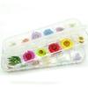 24pcs 3D Dry Flowers Stickers Real Dried Flower Nail Art Decoration Tips DIY Manicure Tools with Box