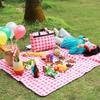 Internet-Famous Thickened Oxford Cloth Picnic Mat, Beach Mat, Spring Outing Outdoor Grass Moisture-Proof Mat, Crawling Mat