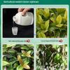 Undiluted Jasmine Fertilizer for Acid-Loving and Flowering Potted Plants