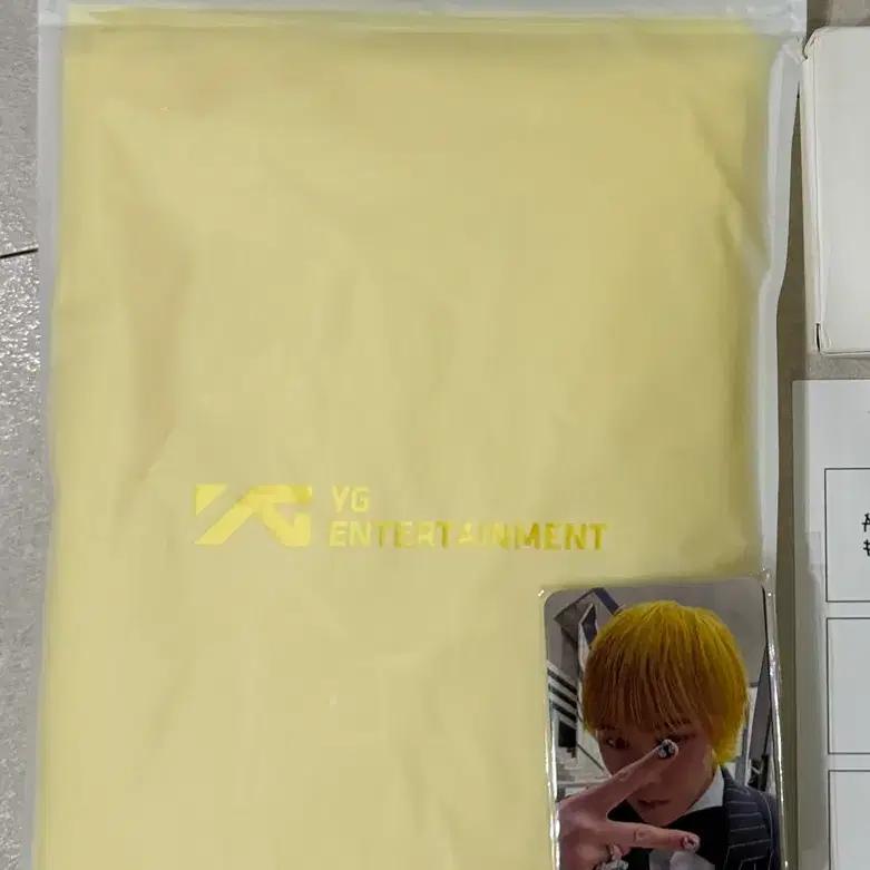 BIGBANG Concert Raincoat photocard batch