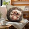 Cute Hedgehog Print DoubleSided Decorative Throw Pillow Case D Graphic Cushion Cover for Sofa Bedroom Home Decor